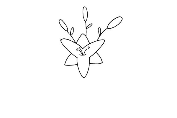 百合花簡(jiǎn)筆畫步驟教程