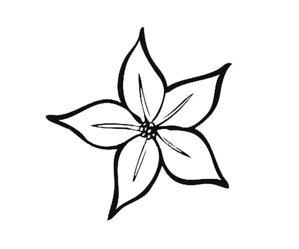 9款漂亮的花瓣簡筆畫大全