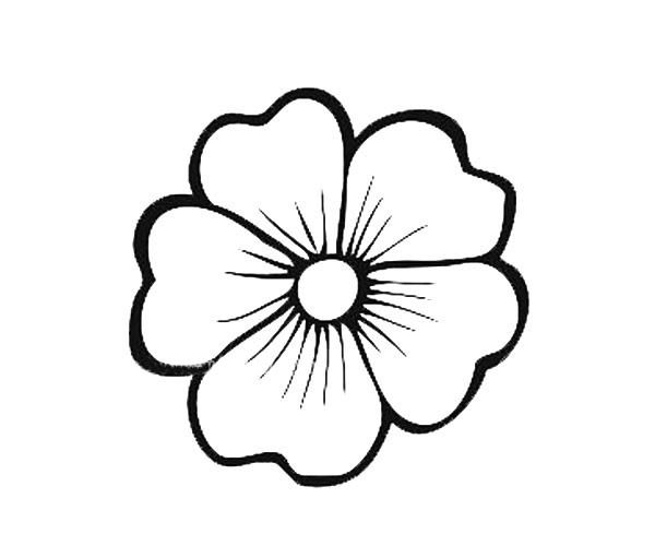 9款漂亮的花瓣簡筆畫大全