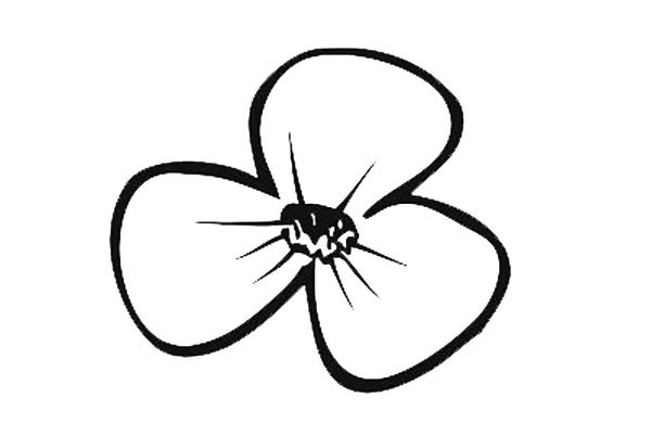 9款漂亮的花瓣簡筆畫大全