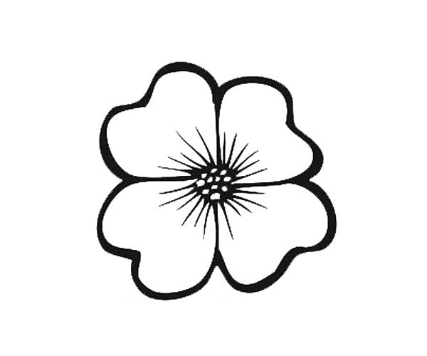 9款漂亮的花瓣簡筆畫大全