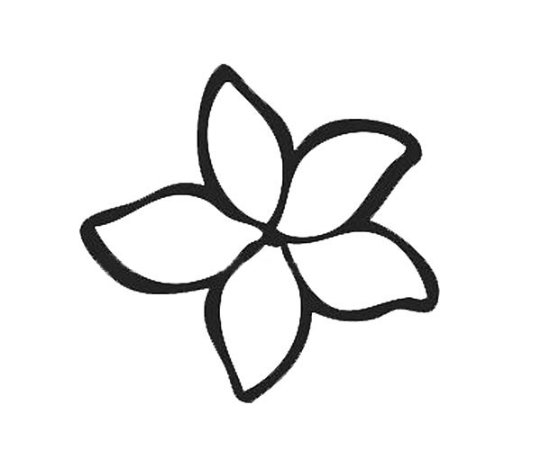 9款漂亮的花瓣簡筆畫大全