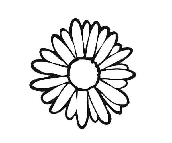 9款漂亮的花瓣簡筆畫大全