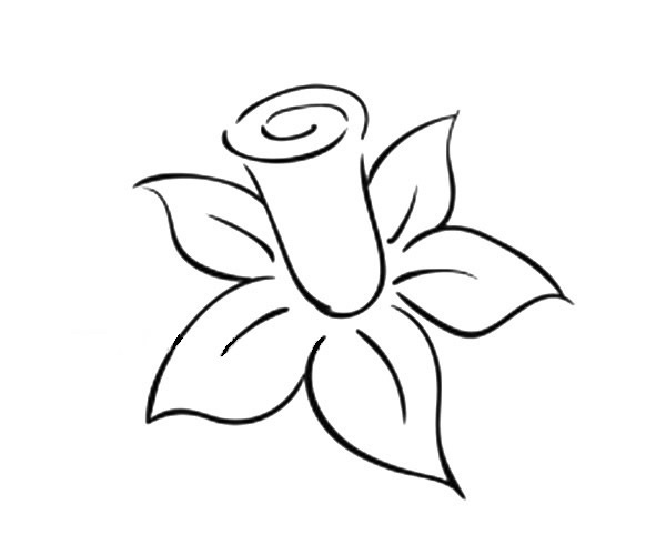 一看就會的花瓣簡筆畫