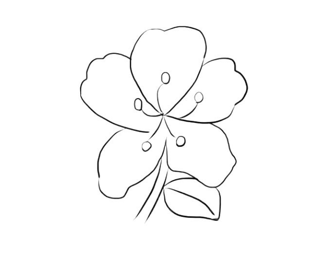 杜鵑花的簡單畫法