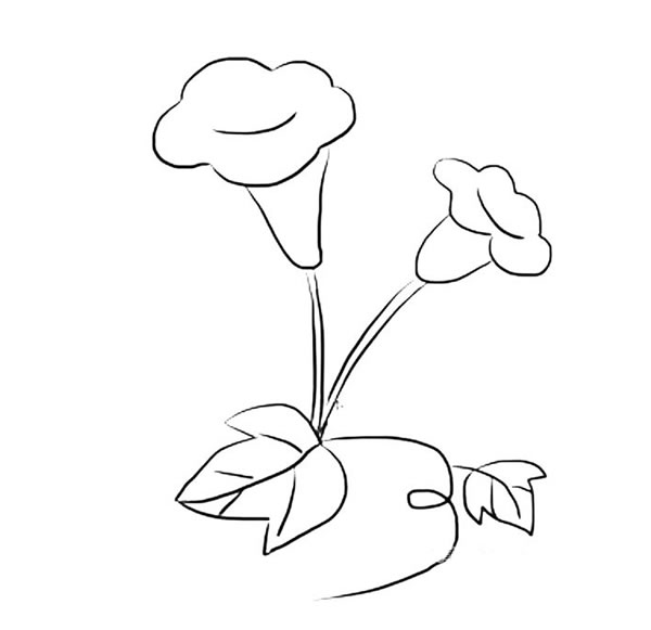 喇叭花怎么畫簡單又好看