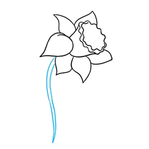 帶顏色的水仙花簡筆畫教程