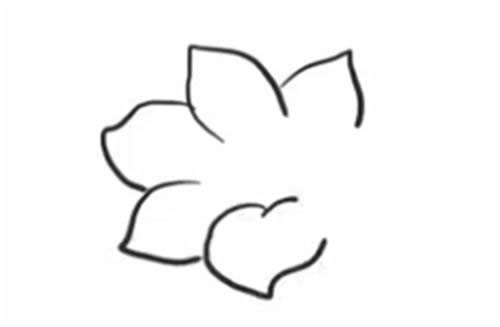 杜鵑花簡筆畫步驟教程