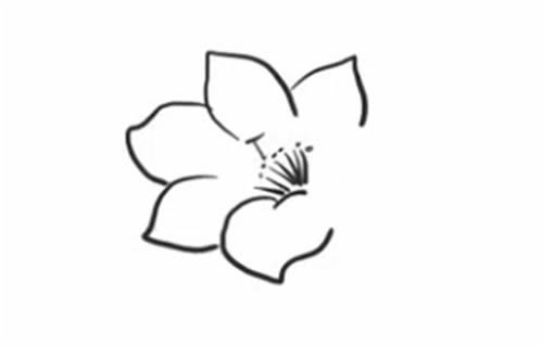 杜鵑花簡筆畫步驟教程