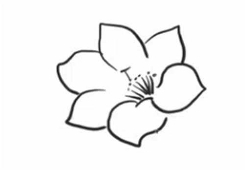杜鵑花簡筆畫步驟教程