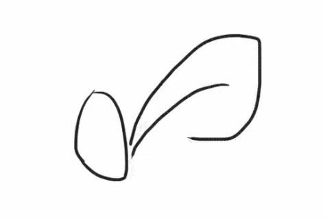 桔梗花簡筆畫步驟教程