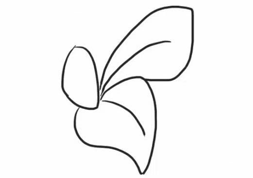 桔梗花簡筆畫步驟教程