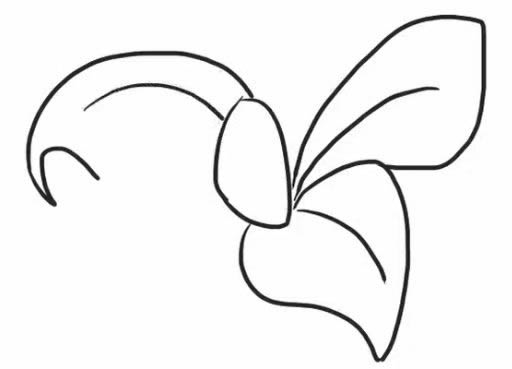 桔梗花簡筆畫步驟教程