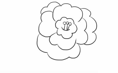 漂亮的茶花簡(jiǎn)筆畫(huà)步驟教程