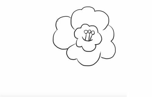 漂亮的茶花簡(jiǎn)筆畫(huà)步驟教程