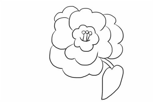 漂亮的茶花簡(jiǎn)筆畫(huà)步驟教程