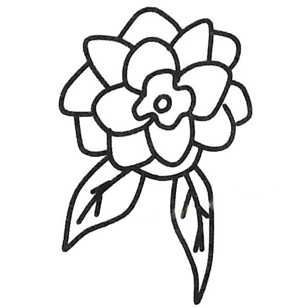 茶花兒童簡筆畫