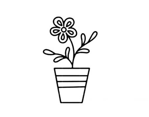 漂亮的盆栽花簡(jiǎn)筆畫 漂亮的盆栽花簡(jiǎn)筆畫