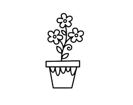 盆栽小花簡筆畫