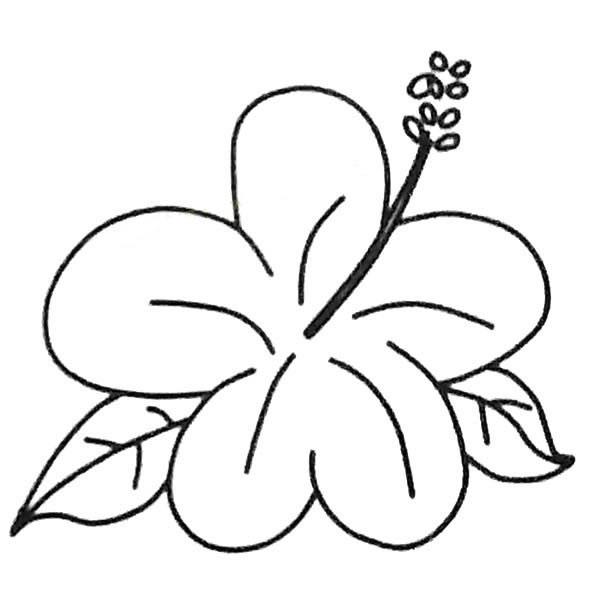 簡單易學的扶桑花簡筆畫
