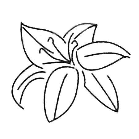 8款關于百合花的簡筆畫大全