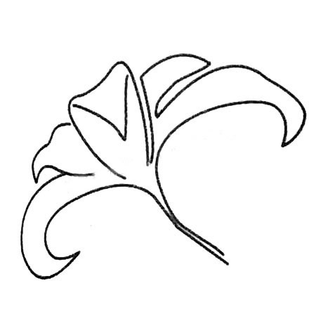 8款關于百合花的簡筆畫大全