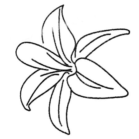 8款關于百合花的簡筆畫大全