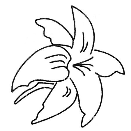 超簡單的百合花簡筆畫