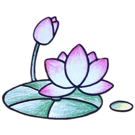 一步步教你畫簡單的荷花