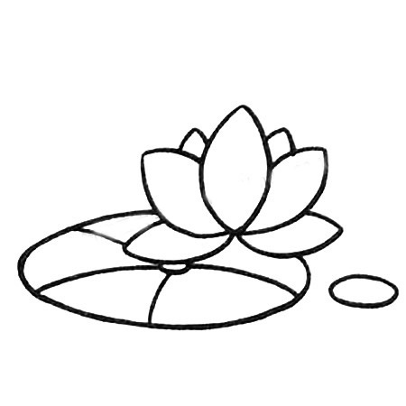 一步步教你畫簡單的荷花