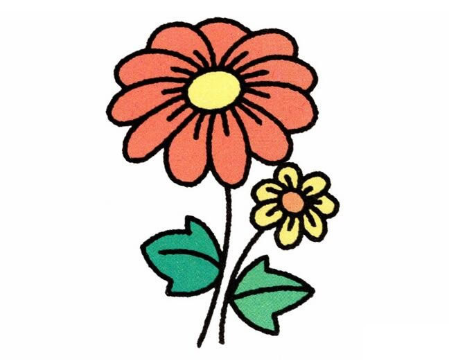 漂亮涂色的菊花簡筆畫