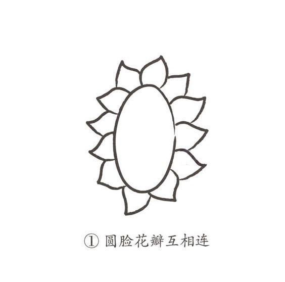 帶顏色的卡通向日葵簡筆畫
