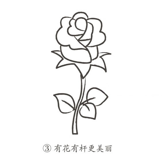 帶顏色的玫瑰花簡筆畫怎么畫