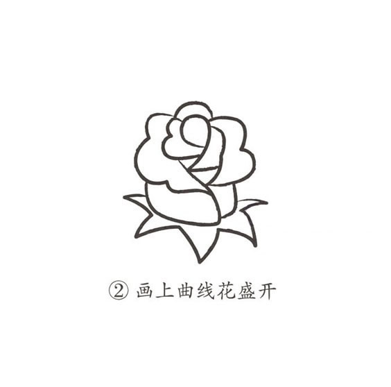 帶顏色的玫瑰花簡筆畫怎么畫