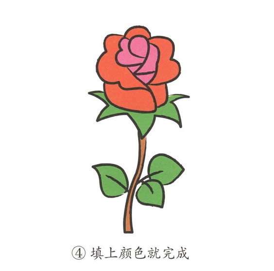 帶顏色的玫瑰花簡筆畫怎么畫