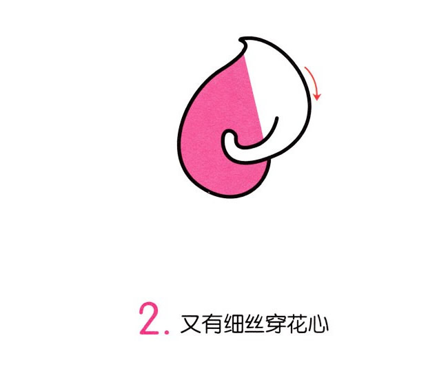 涂色的馬蹄蓮簡筆畫教程
