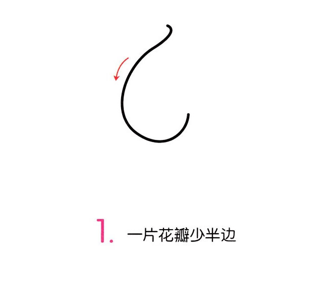 涂色的馬蹄蓮簡筆畫教程