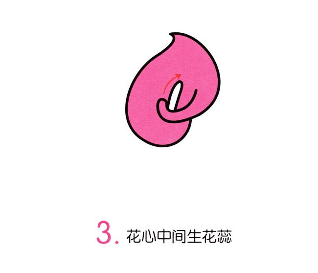 涂色的馬蹄蓮簡筆畫教程