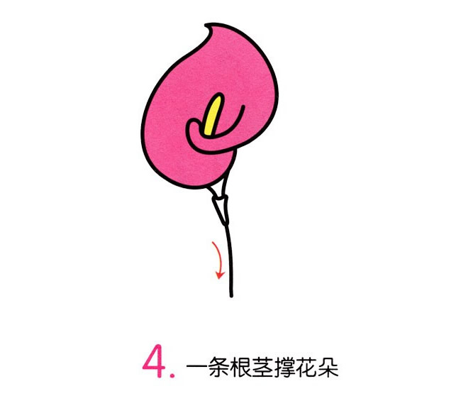 涂色的馬蹄蓮簡筆畫教程