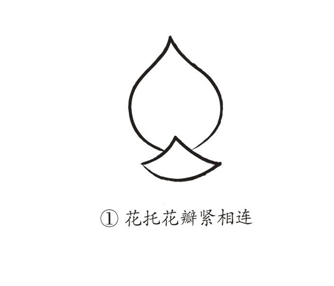 荷花簡筆畫步驟帶顏色