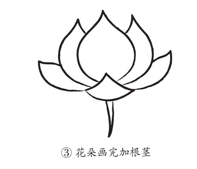 荷花簡筆畫步驟帶顏色