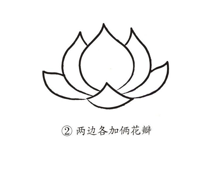 荷花簡筆畫步驟帶顏色