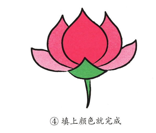 荷花簡筆畫步驟帶顏色