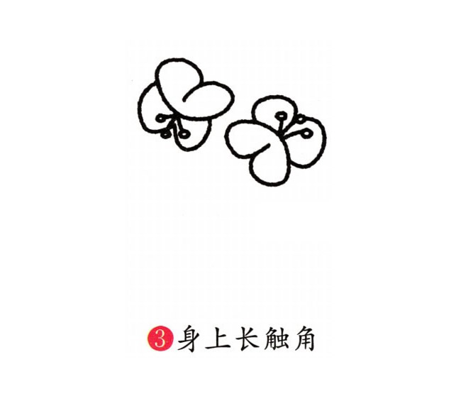 涂色的蝴蝶蘭簡筆畫教程