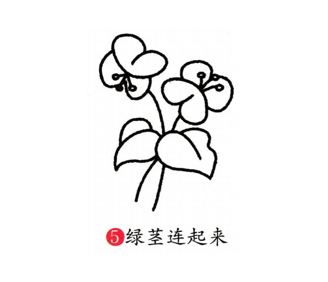 涂色的蝴蝶蘭簡筆畫教程