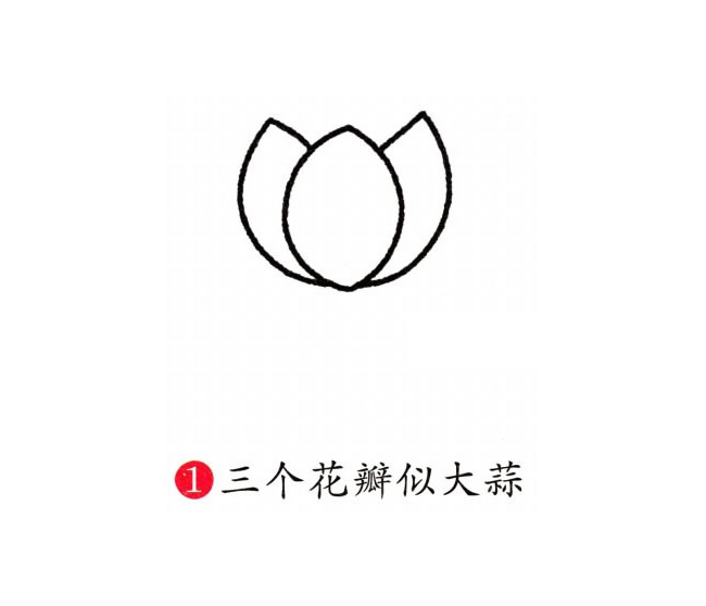 彩色的荷花簡筆畫教程