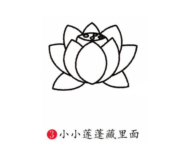 彩色的荷花簡筆畫教程