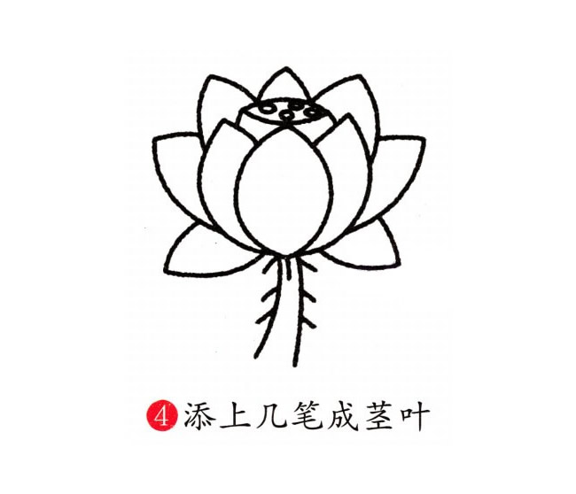 彩色的荷花簡筆畫教程