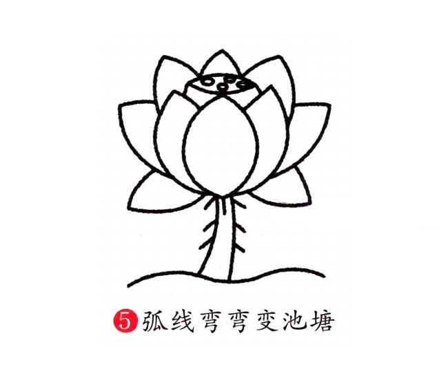 彩色的荷花簡筆畫教程