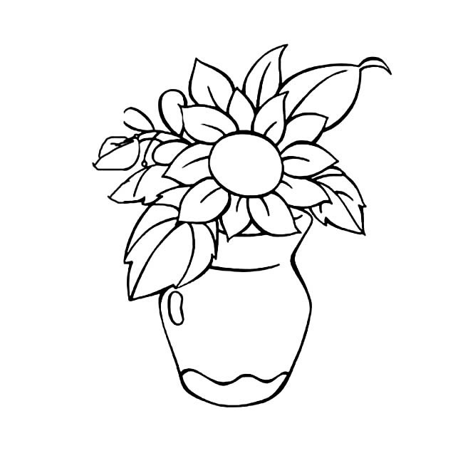 花屏里的花朵簡筆畫